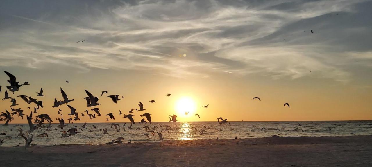 Sunset Vistas 206S Villa St. Pete Beach Luaran gambar